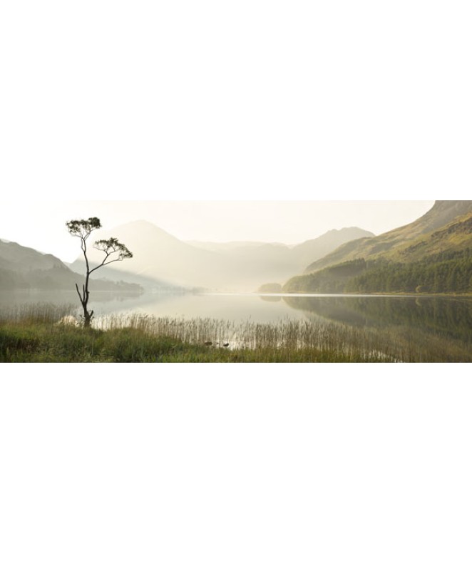 Morning Solitude Buttermere
